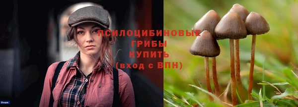тгк Нея
