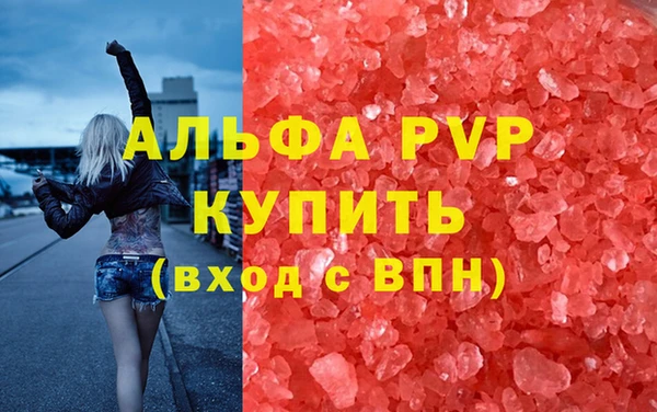 молекула духа Надым