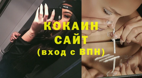 тгк Нея