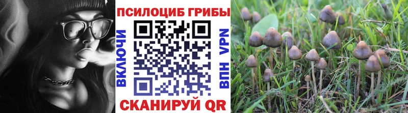 Галлюциногенные грибы Magic Shrooms  Приволжск 