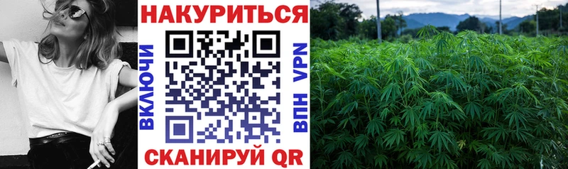 Конопля White Widow Приволжск